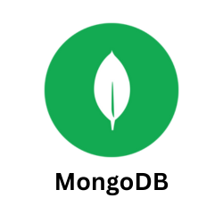 WordPress-9.png